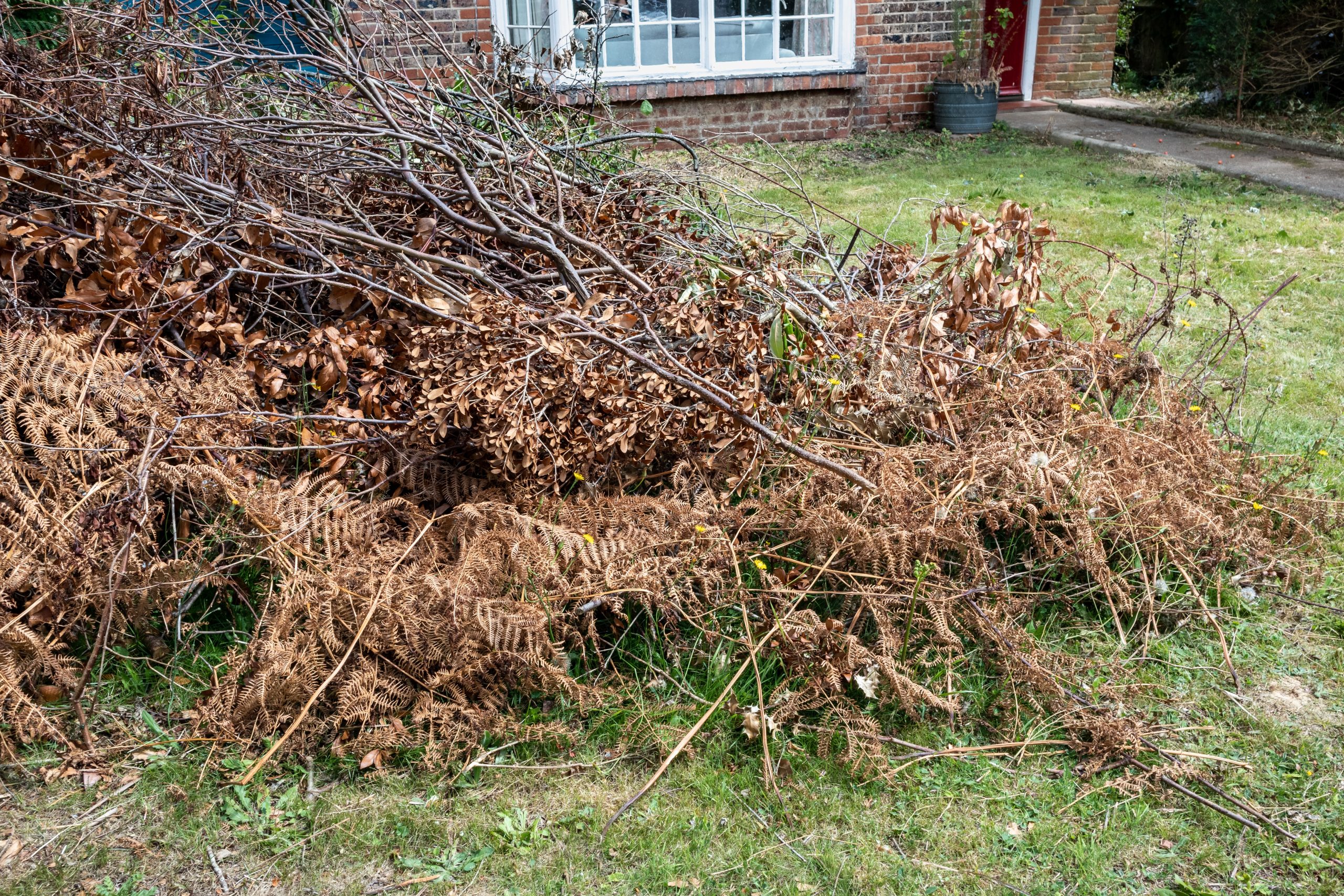 Garden Green Waste Removal Bromley BR1